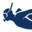 Diver OSINT